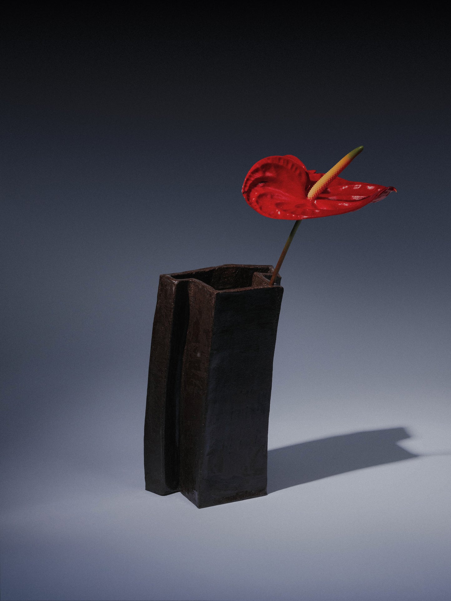 Le Vase